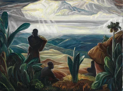 My First View of the Congo Forest — Paul Travis