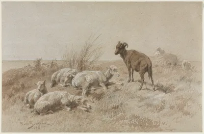 Sheep — Rosa Bonheur