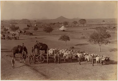 Heavy Field Battery, Jhansi — Lala Deen Dayal