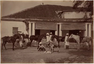 Mr. Brown's Horses, Jhansi — Lala Deen Dayal