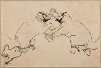 Two Elephants in Combat