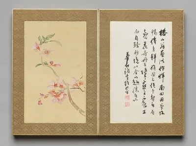Preface from Flowers and Grasses — Tsubaki Chinzan