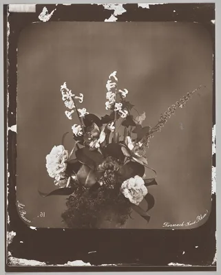 Untitled (flower arrangement) — Adolphe Braun