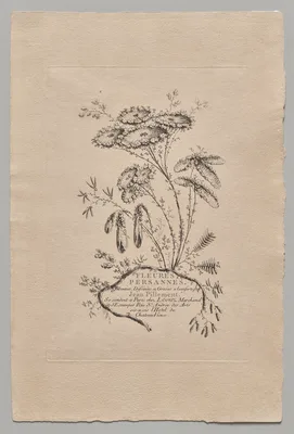 Persian Flowers — Jean-Baptiste Pillement