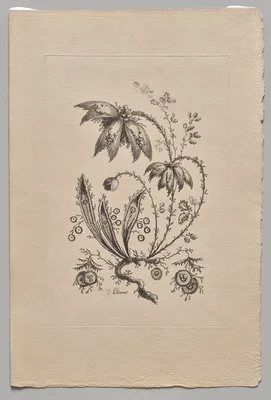Persian Flowers — Jean-Baptiste Pillement