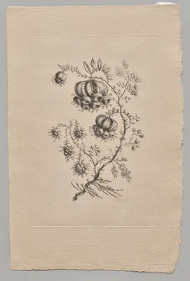 Persian Flowers — Jean-Baptiste Pillement