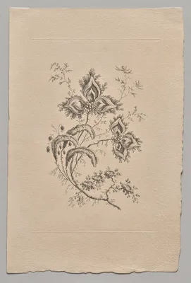 Persian Flowers — Jean-Baptiste Pillement