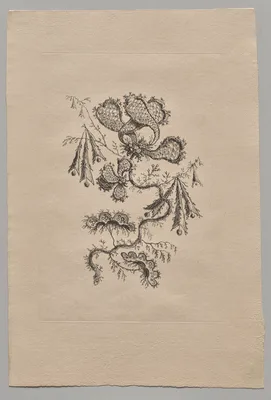 Persian Flowers — Jean-Baptiste Pillement