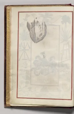 Border, folio 1 (verso), from Florilegium (A Book of Flower Studies)