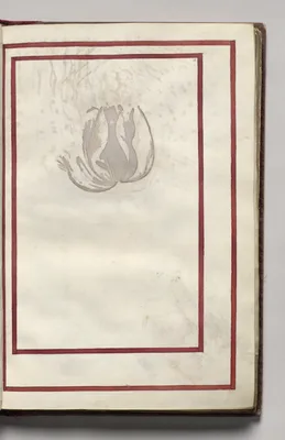 Border, folio 6 (recto), from Florilegium (A Book of Flower Studies)