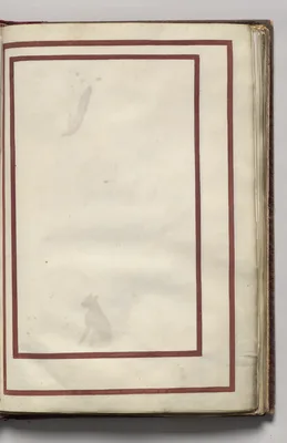 Border, folio 9 (recto), from Florilegium (A Book of Flower Studies)