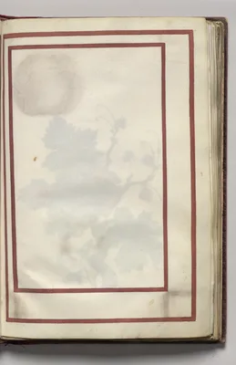 Border, folio 10 (recto), from Florilegium (A Book of Flower Studies)