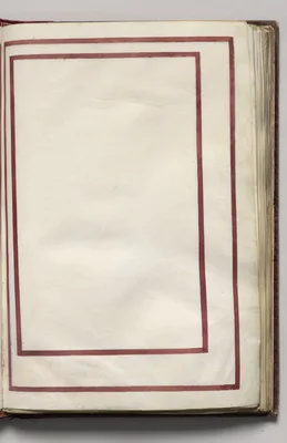 Border, folio 11 (recto), from Florilegium (A Book of Flower Studies)