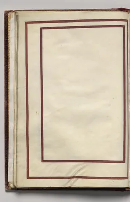 Border, folio 12 (verso), from Florilegium (A Book of Flower Studies)