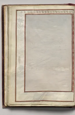 Border, folio 16 (verso), from Florilegium (A Book of Flower Studies)