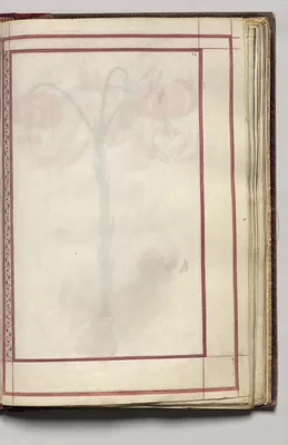 Border, folio 32 (recto), from Florilegium (A Book of Flower Studies)
