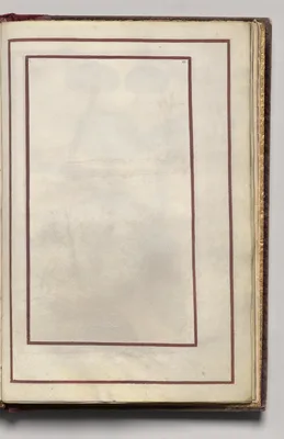 Border, folio 42 (recto), from Florilegium (A Book of Flower Studies)