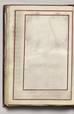 Border, folio 42 (verso), from Florilegium (A Book of Flower Studies)