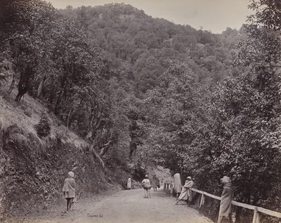Shimla. The Mall or Principal — Samuel Bourne