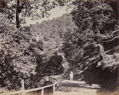 Shimla. The Mall near Rabq Lodge — Samuel Bourne