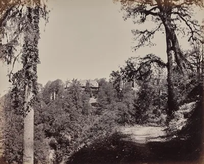 Shimla. Sir Hugh Rose's Bungalow at Mahasso — Samuel Bourne