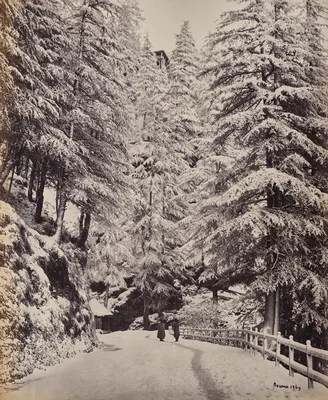 Shimla. View on the Mall in Winter — Samuel Bourne