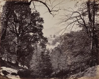 Shimla. The Church Through the Trees, from Jakko — Samuel Bourne