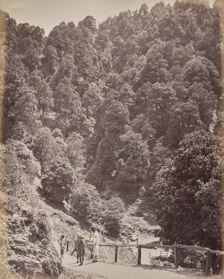 Shimla. View North of Mount Jakko — Samuel Bourne