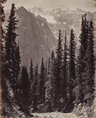 The Upper Himmalayahs. View in the Manga Valley — Samuel Bourne