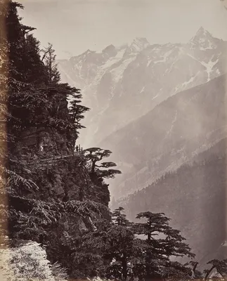 The Upper Himmalayahs. View on the New Road Near Rogi — Samuel Bourne