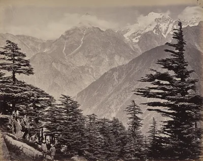 The Upper Himmalayahs. View Near China Mountains. Deoders in the Foreground — Samuel Bourne