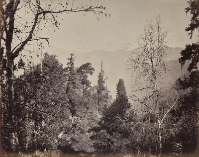 The Upper Himmalayahs. View of the Mountain of Bunderpoonch with the Jumnootri Peak, 20,458 above the Level of the Sea — Samuel Bourne