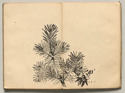 Young Pine from Ōkyo Picture Book — Maruyama Ōkyo