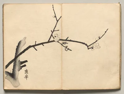Plum from Ōkyo Picture Book — Maruyama Ōkyo