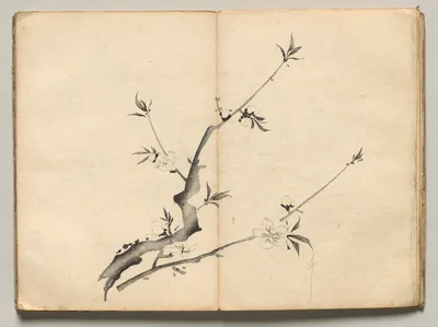 Cherry from Ōkyo Picture Book — Maruyama Ōkyo