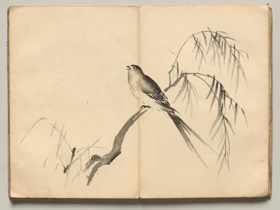 Warbler from Ōkyo Picture Book — Maruyama Ōkyo