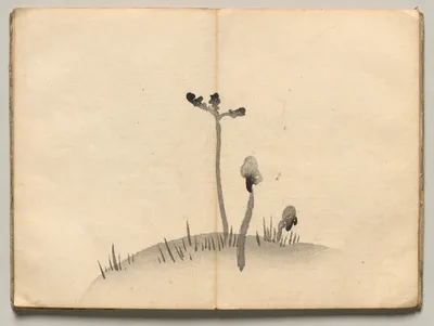 Bracken from Ōkyo Picture Book — Maruyama Ōkyo