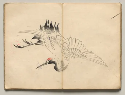 Crane from Ōkyo Picture Book — Maruyama Ōkyo