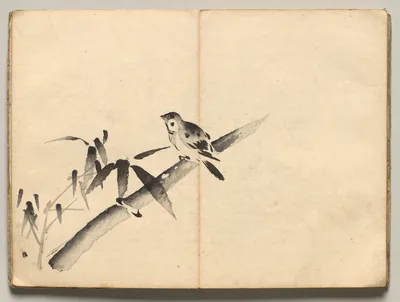 Sparrow in Bamboo from Ōkyo Picture Book — Maruyama Ōkyo