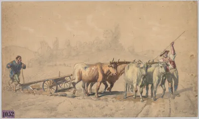 Four Oxen Pulling a Plough — Constant Troyon