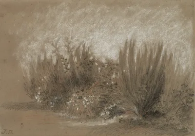 Genets et Ronces (Broom and Brambles) — Jules Dupré