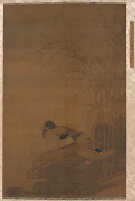 Ducks under Reeds