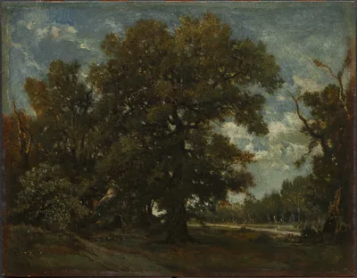 The Oak Tree — Théodore Rousseau