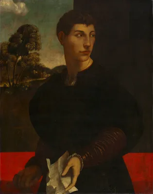 Portrait of a Young Man — Dosso Dossi