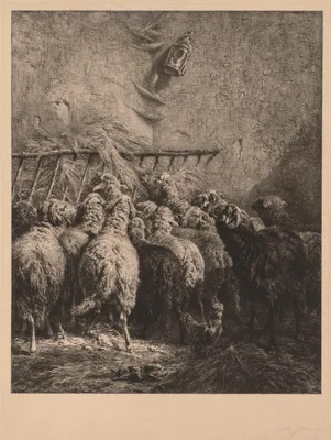 Sheep Enclosure in Béarn — Charles Jacque