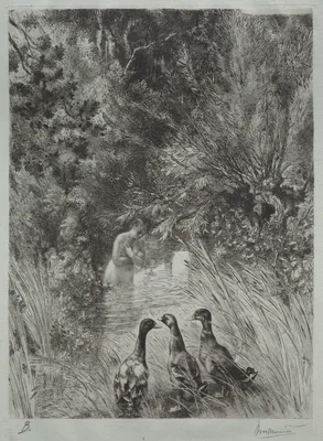 The Surprised Ducks — Félix Bracquemond