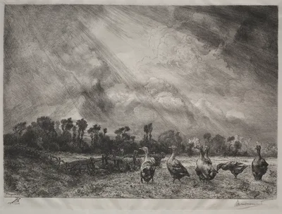 The Storm Cloud — Félix Bracquemond
