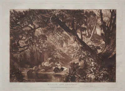 Liber Studiorum:  Aesacus and Hesperie — J. M. W. Turner