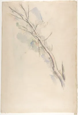 Studies of a tree (recto and verso) — Paul Cézanne