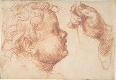 Studies of a Head and a Hand — Andrea del Sarto